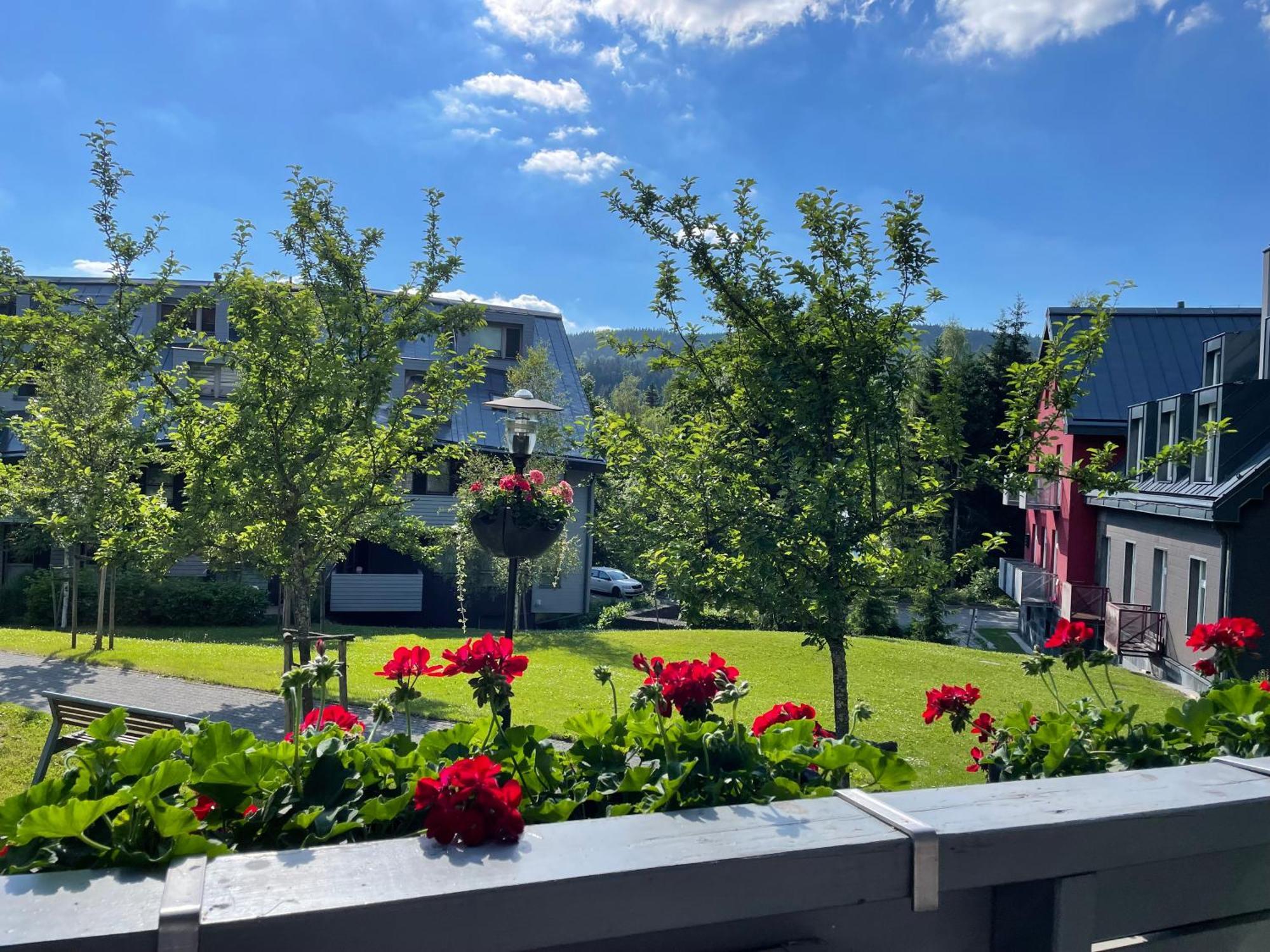Spirit Harrachov Superior Wellness Apartments - Free Wellness, Wifi, Parking, Harrachov Card Bagian luar foto