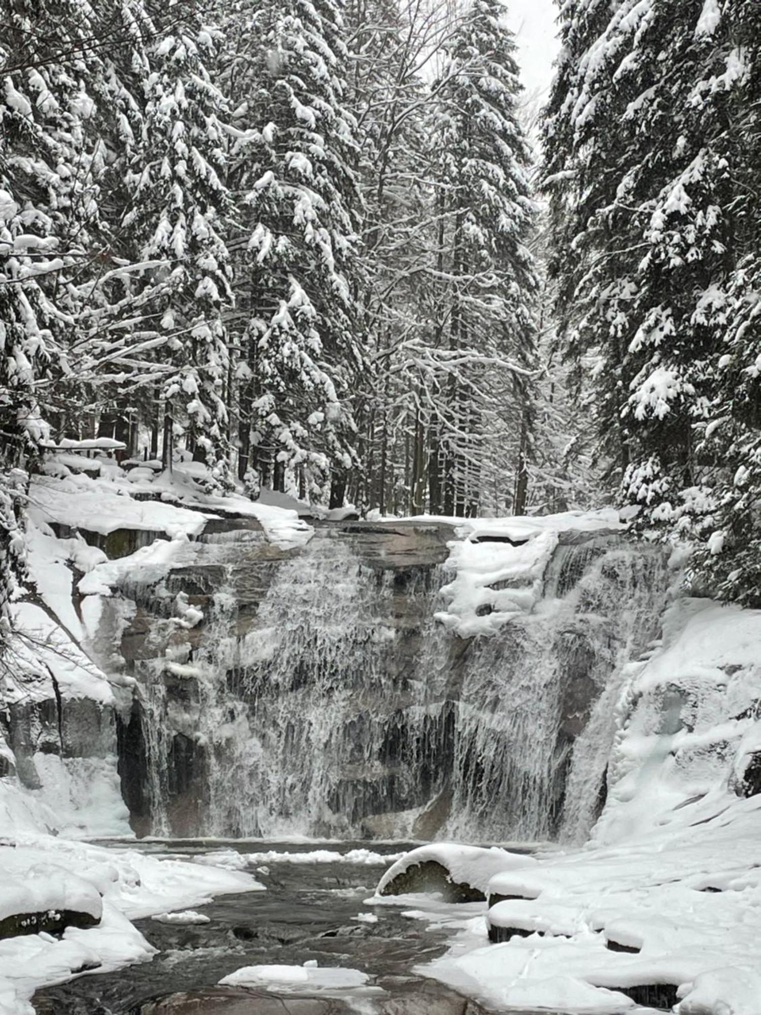 Spirit Harrachov Superior Wellness Apartments - Free Wellness, Wifi, Parking, Harrachov Card Bagian luar foto