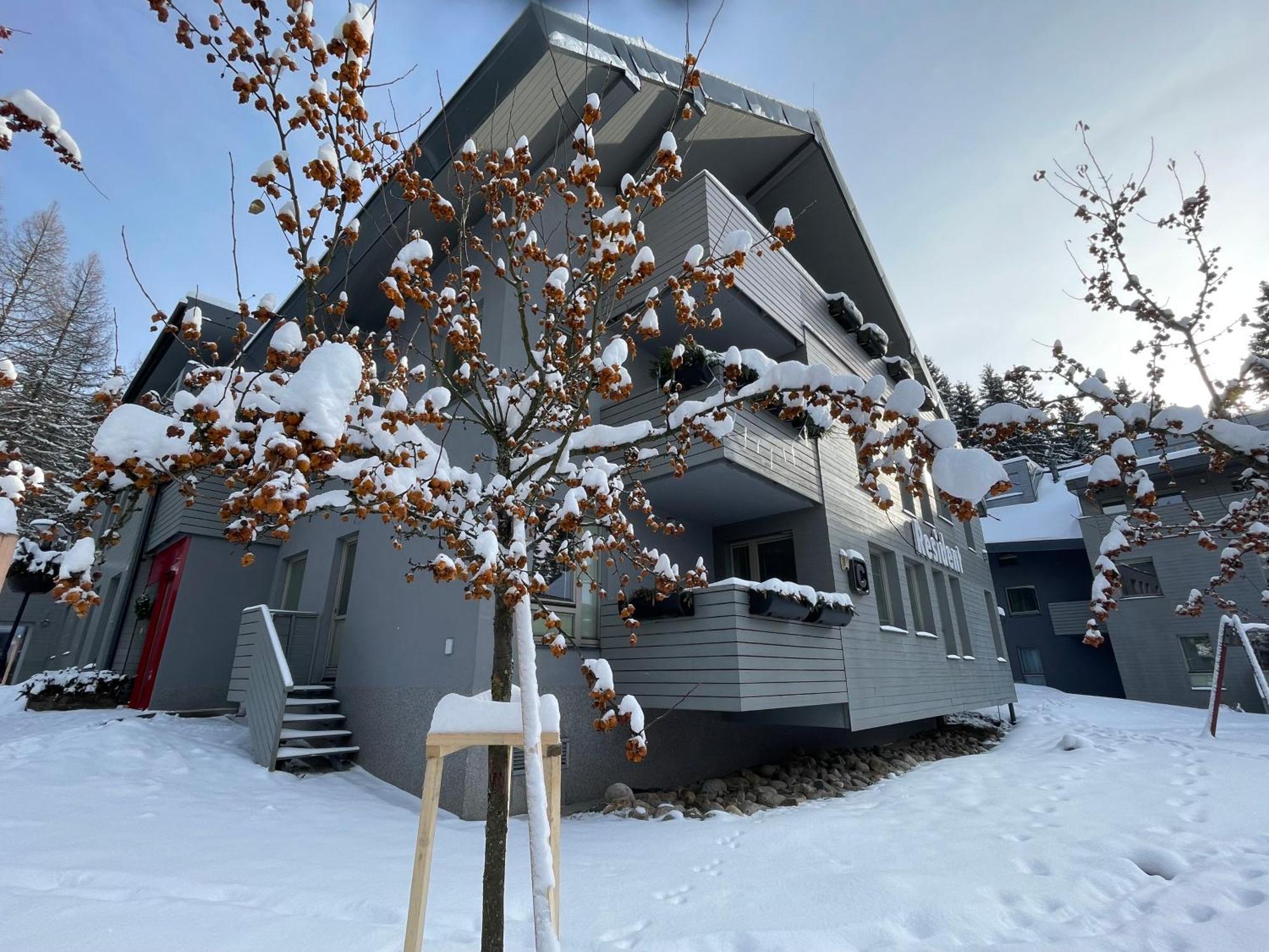 Spirit Harrachov Superior Wellness Apartments - Free Wellness, Wifi, Parking, Harrachov Card Bagian luar foto