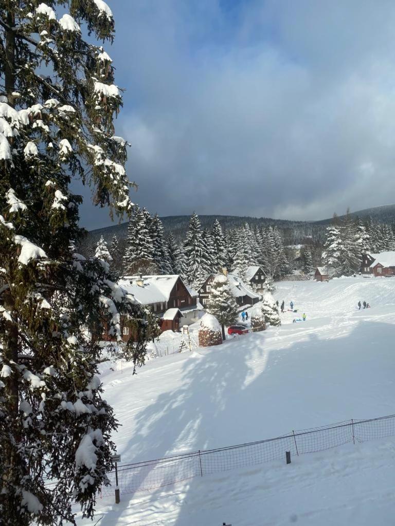 Spirit Harrachov Superior Wellness Apartments - Free Wellness, Wifi, Parking, Harrachov Card Bagian luar foto