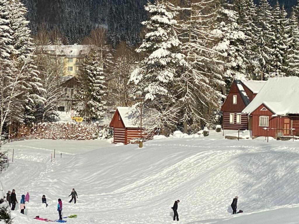 Spirit Harrachov Superior Wellness Apartments - Free Wellness, Wifi, Parking, Harrachov Card Bagian luar foto